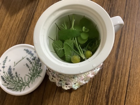 14C9943C-56B3-426E-A05F-0E2A9DFA0939