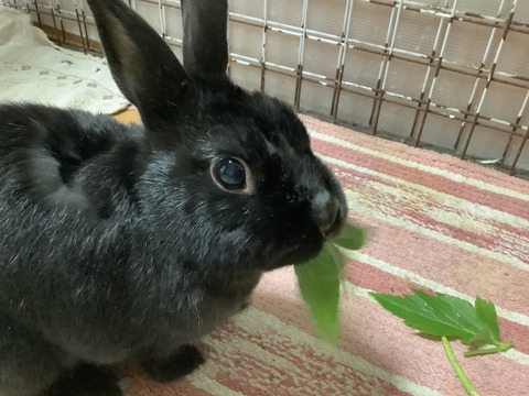 85DBEEEF-2D39-4F74-A765-F083F988A882