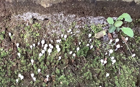 4E057B54-1A25-406F-A411-FB798B07ED41