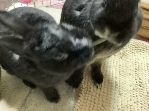 931AB9F6-1328-4E4A-8928-759499A6A455