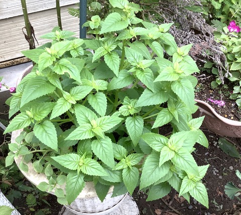 FE183497-1379-4878-9463-8AE7D113D440