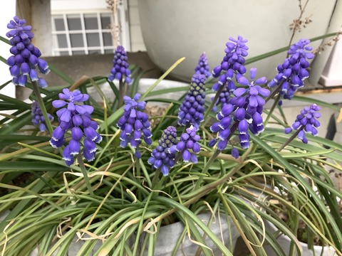 E34E5DA5-9246-4518-A372-73AFA8E9008A