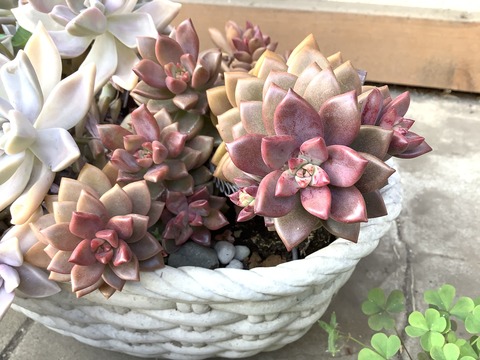 83FB1B49-5B85-47E5-9B60-17AA3704277D