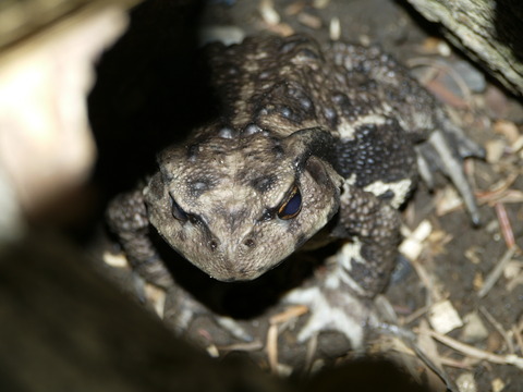 684368DB-2DE3-43B6-9821-9E781EC32DDA