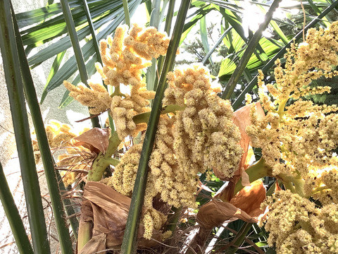 42150939-9024-4357-B988-796099B03869