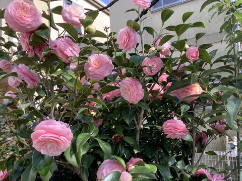 A17B6189-3290-4F66-95E5-47857DD0F14D