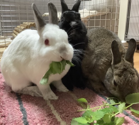 2A9F449F-E41B-4029-BF25-87F3422CDC47