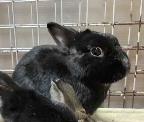 A13C5CB4-B185-4864-90EA-82C3F70AB6C5