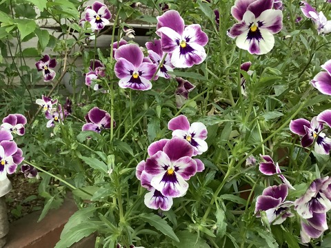 DD3231D4-FCCA-42E8-938C-7F6530A402AE