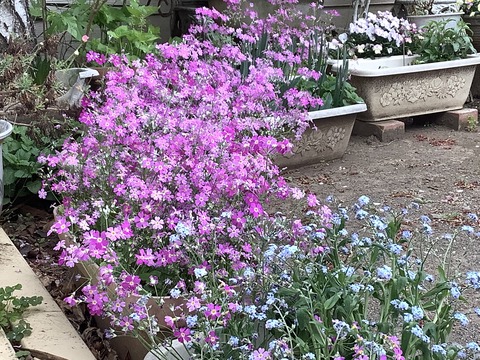 85D28997-0D75-479B-A0C1-3FC6EFDF98E6