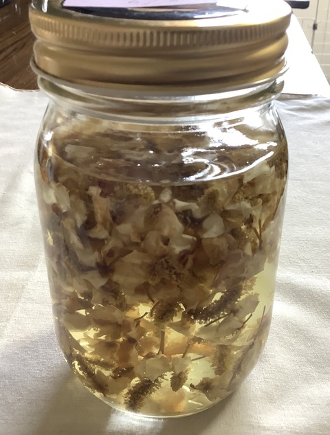 BF2DCB93-DEEE-4D00-ADB6-90D537ACDA4B