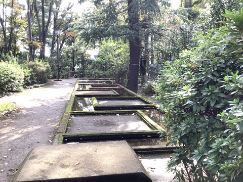 71E947C2-A5BF-4DDF-BB8E-921B84DF08FD