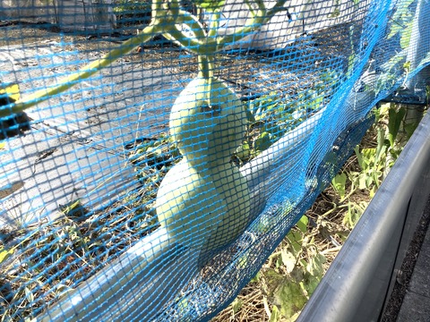 A0B398D9-7EA7-4C6D-BB70-174F5B1B0A9C