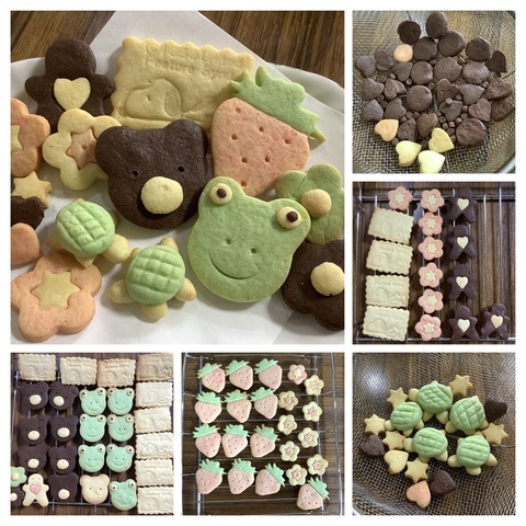 86D9DE53-C9CE-4426-A735-6E9F1258DB98-COLLAGE