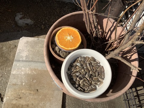 4E050938-E16C-41D1-9BA4-20B5496C359F