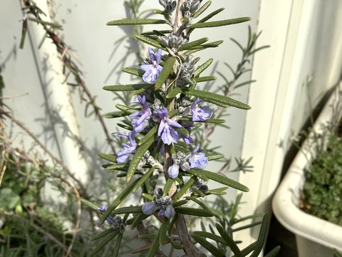 995783C5-3C97-4A48-B268-C99244458399