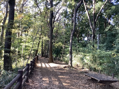 C475123B-724F-4EEA-ABA9-BA6F1DA7F3EE