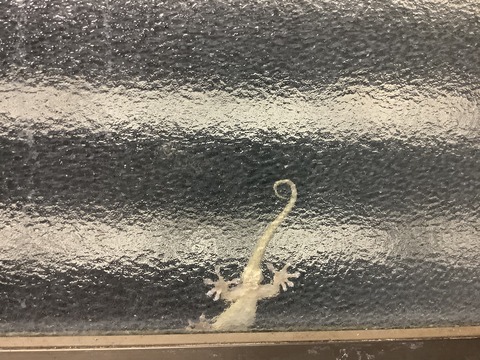 0ACDBB5C-24BB-4C8A-9AC3-622A046E16DE