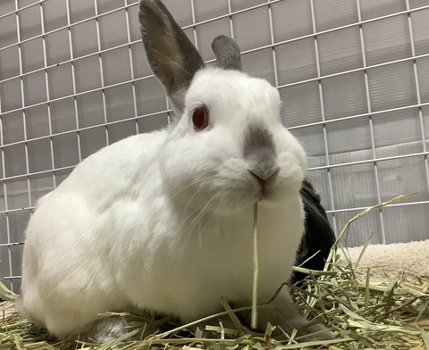 5036C439-627D-4932-A8AD-21F4961EBA45