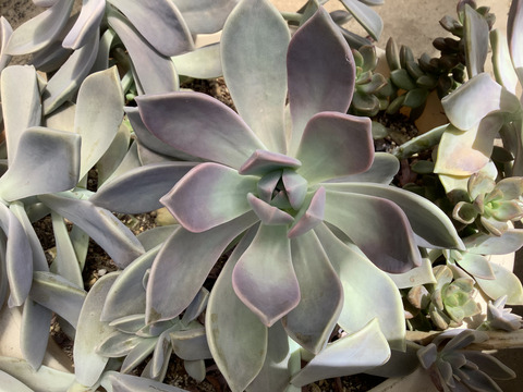 030FCB80-CD36-4BE5-A12A-E4C1843BBA1D