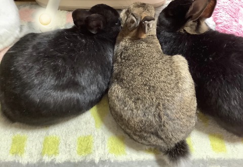 BD1B96A9-6DD1-448A-B99B-A287DEF4F8B8