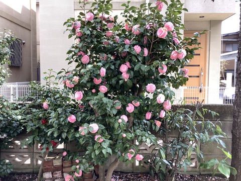 BA937C7E-5CBC-4C9F-866A-06BFF112A28B