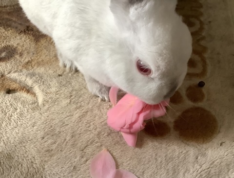 A5C5A89E-A80A-43AF-8AFB-5BCA83E13D61