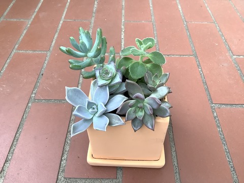 3D117836-84C4-4FC1-A843-D8EDD4075866