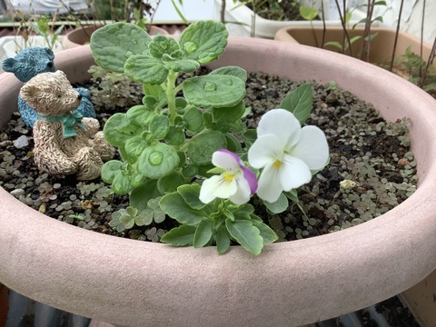 5D68D597-F74E-4EC8-A6A7-6232C1DCE9FD