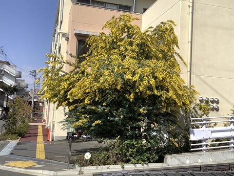 FA30C53D-3931-4382-B3CF-D0E096DDCFA3