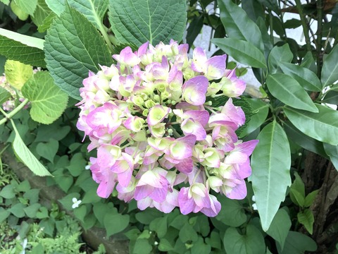 2D130EE2-C421-4FD5-A6A2-3E89D5F76B35