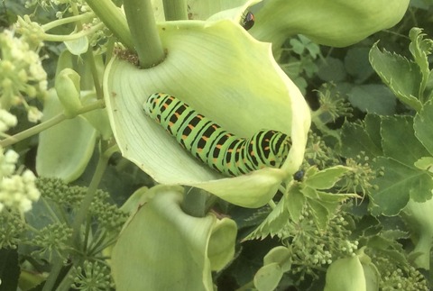 4B8B646B-DA67-475B-BE61-78AE29BD787D