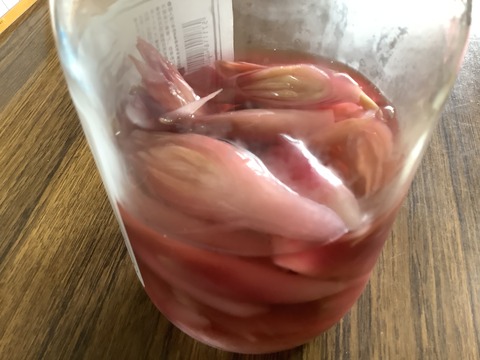 A3E786CC-B899-4F86-9202-A390B686B81A