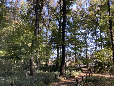 B2AC72EC-E9BC-455B-82A2-30215DE3F0E5