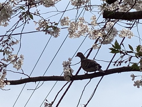 3118D925-D5D0-4703-AC50-C8E212B5B5EA