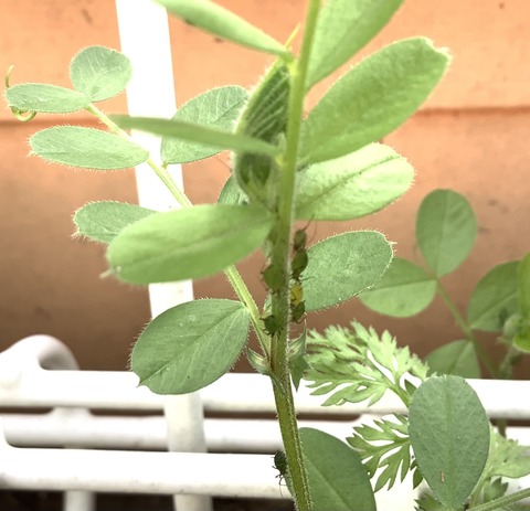 9E62B7F5-8BBC-4096-8B81-2E37F49F4BBA