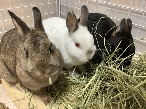 EF3C387A-5477-493D-898F-01294F52AD0C