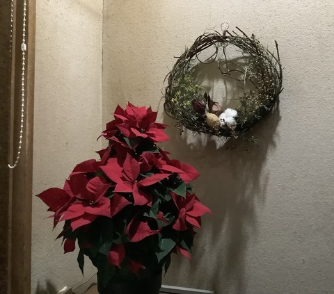 AACDC055-9552-4C7E-B12D-3C3A94F8A5C6