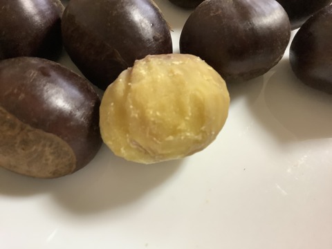 6FF678BE-99A0-4847-A6EB-10F190D2DB76