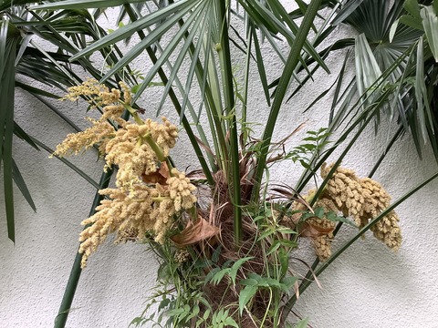 0D441B99-C9DD-4BC2-A3BB-56D1D5C6CA0A