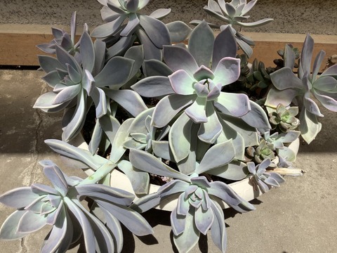 733919BE-3B89-42EF-86CC-547ECA5EE269