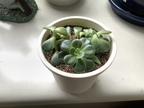 297E1F7D-7997-48E6-8140-E8E64FF52BD0