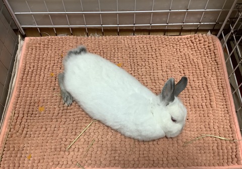 EA66CDA0-E3B9-4C6E-9324-0AF1A0D60A7C