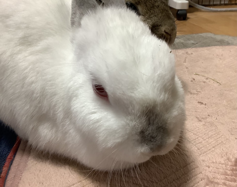 23E9F3D4-159A-4428-8B39-C26BE65A0F58