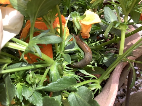 1F113DCC-AECF-4A67-A964-FCA815E72FDA