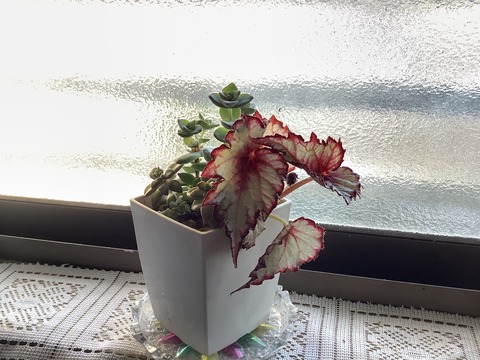 14FEA918-A56D-4741-A221-6D0B234E719F