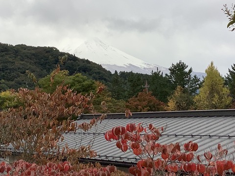 7EC902B7-1FFF-4DD4-B7EE-087452F4FB87