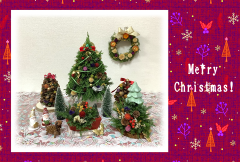 無題515_20231205232324