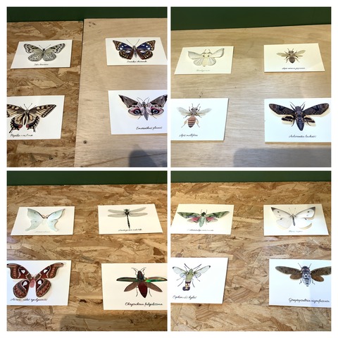 58746977-E7B6-4DC4-AD46-7D41E7EF74A9-COLLAGE