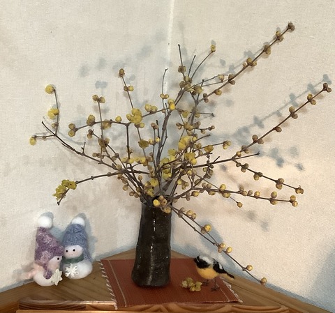 148840E1-7B8A-4DE9-BC65-702F9960D24A